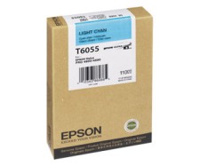 Epson T605500 -2 Ink Picture for website.jpg
